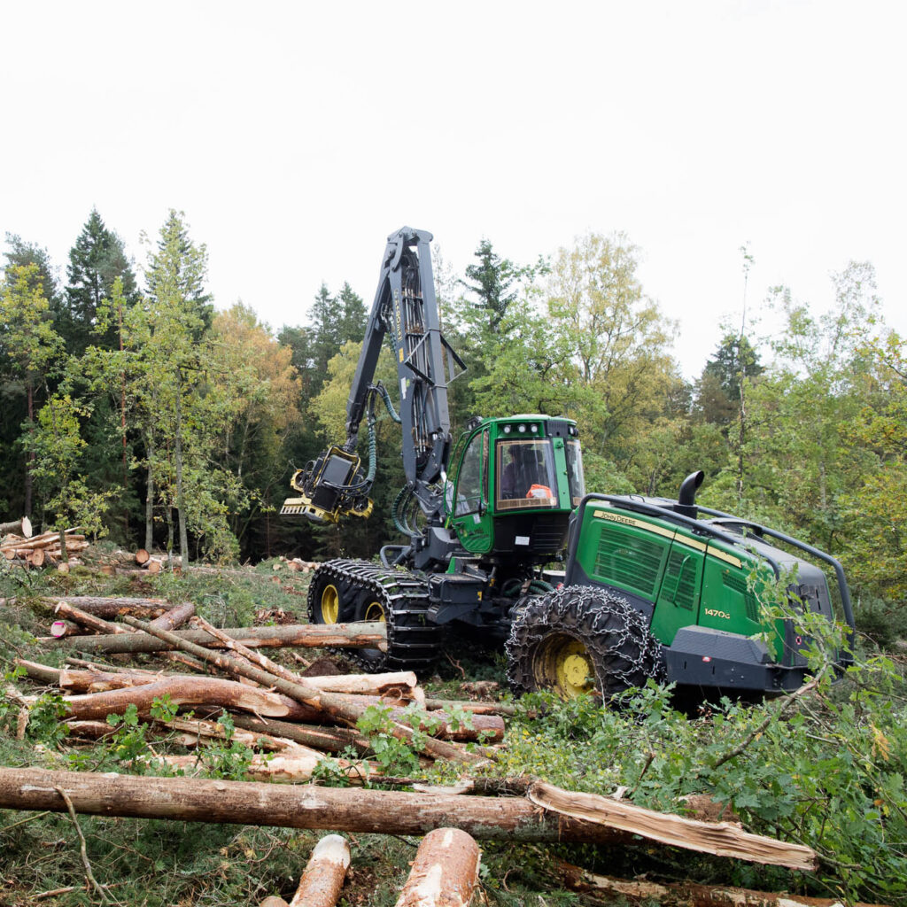 En grön skogsmaskin avverkar och bearbetar stockar på skogsmarken, omgiven av höga träd