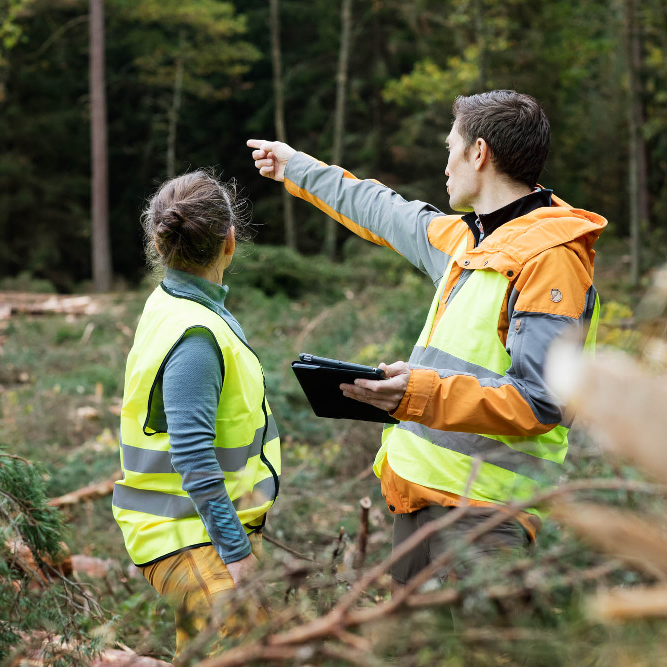 People in high-visibility vests in the forest