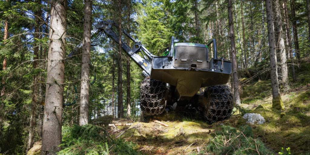 Skogsmaskin som avverkar träd