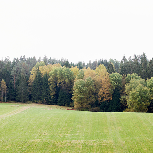 Dunge med skog Forest Data Platform