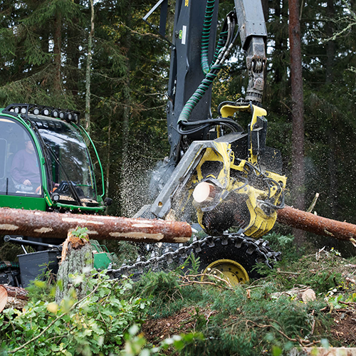 Forstmaschine, die Bäume fällt, Forest Data Platform