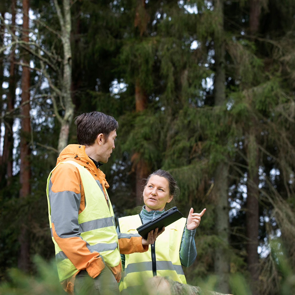 LogStackPLANNER im Wald
