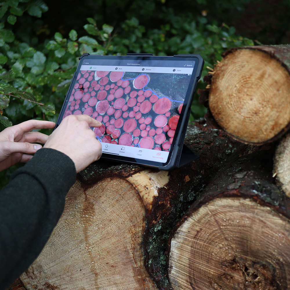 LogStackPro misst Baumstämme im Wald (3)