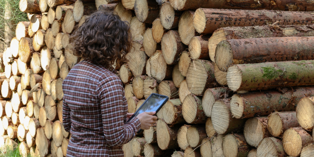 LogStack LiDAR on an iPad Pro in front of logs