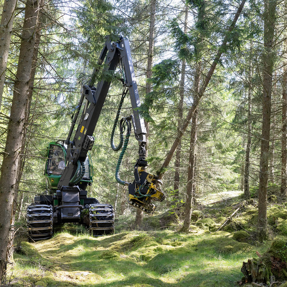 Forest machine cutting trees in the forest Yield calculation