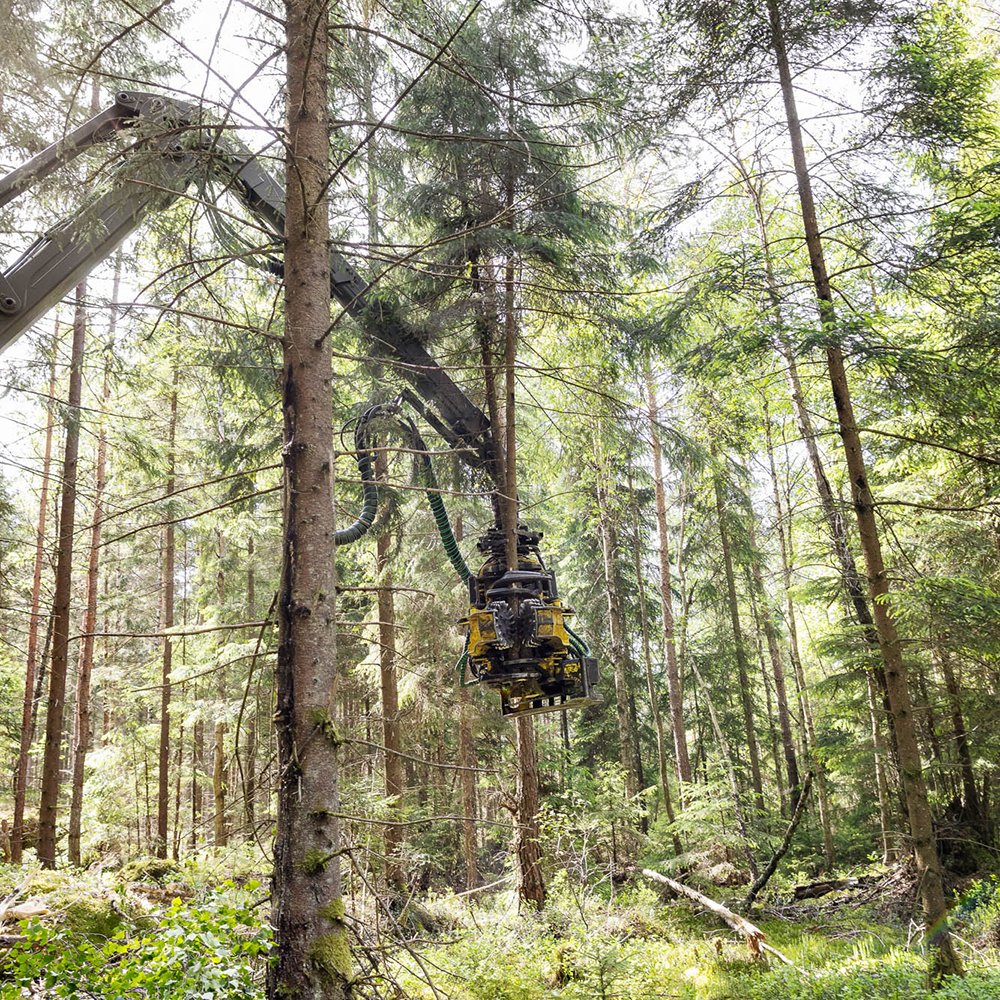 Forest machine cutting trees Yield calculation