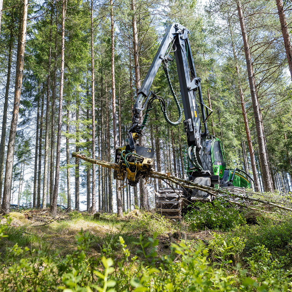 Forstmaschine im Wald, die Bäume sägt NEMUS