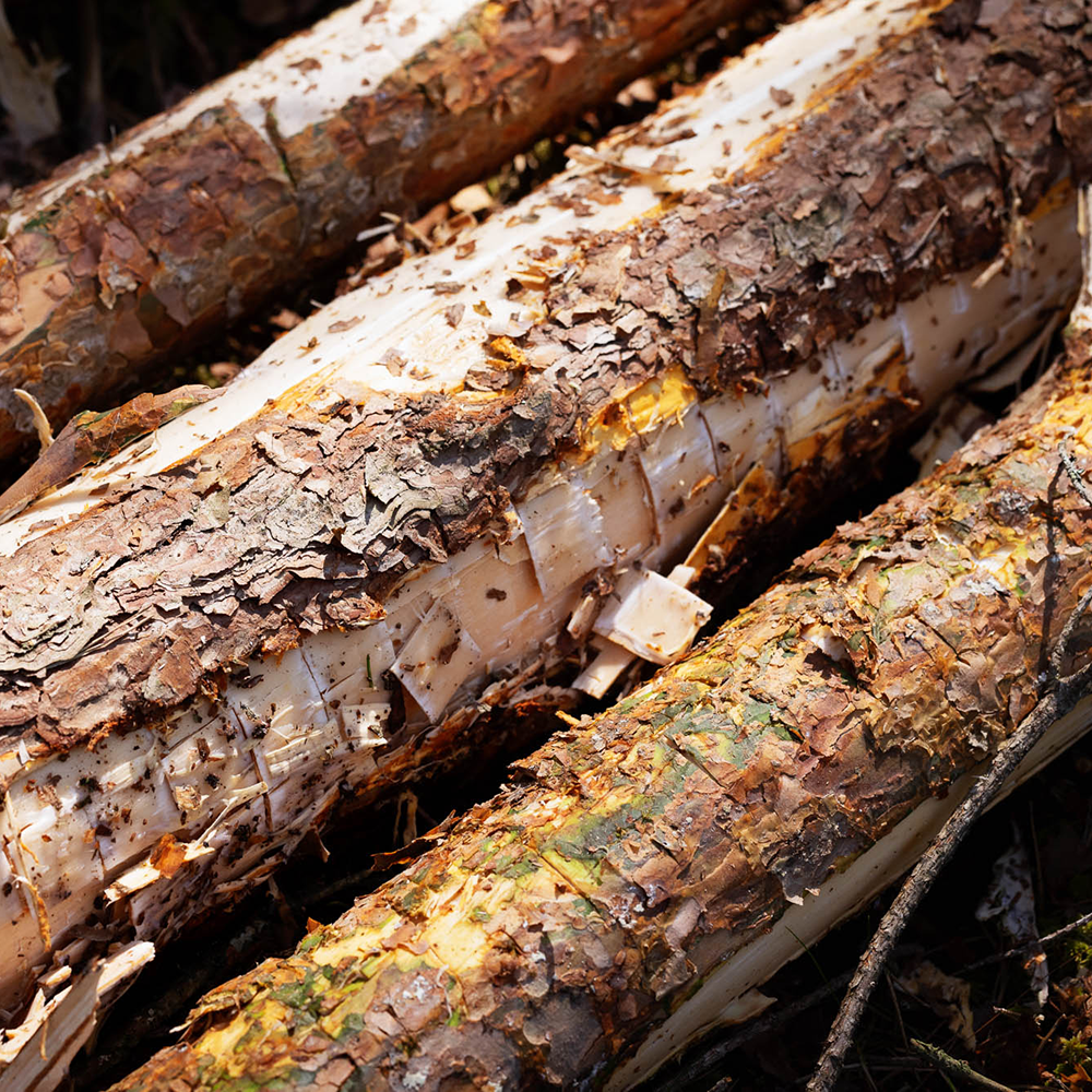 Logs with bark Yield calculation