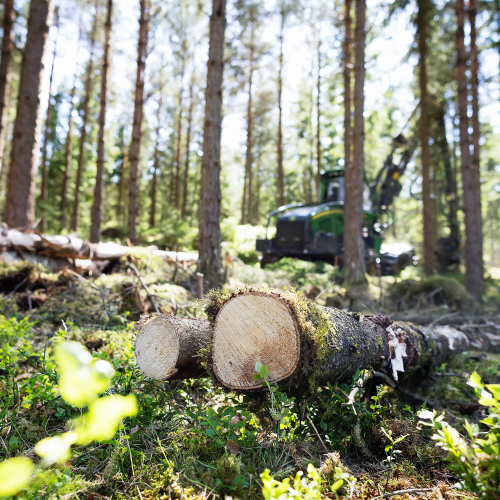 Skogsmaskin i skogen bakom fällda träd NEMUS