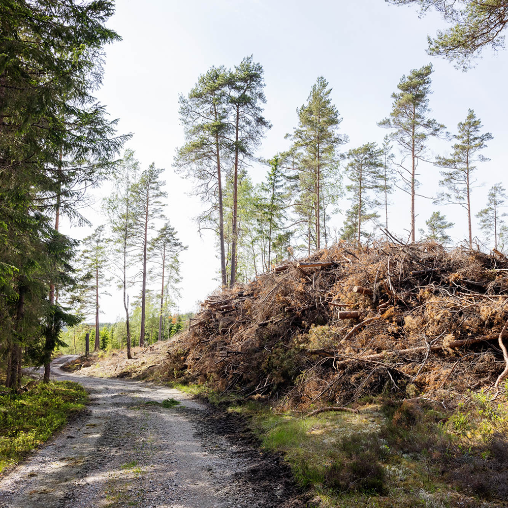 Straße neben einem Reisighaufen