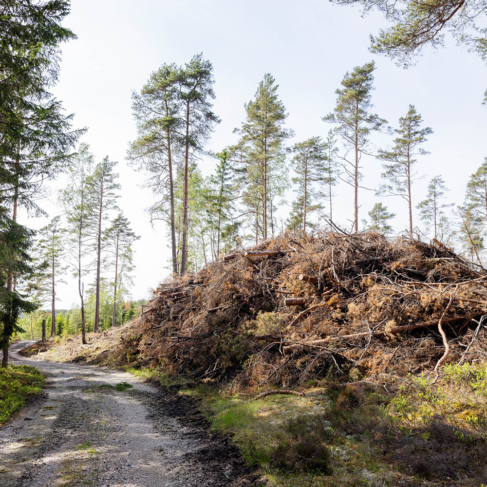 Ris från avverkning i en hög vid skogsvägen