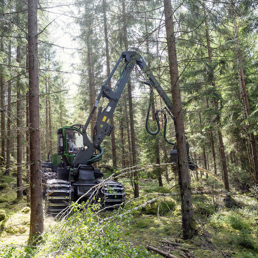 Skogsmaskin som avverkar skog